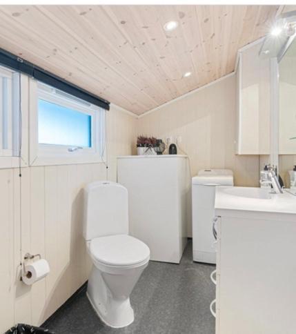 Sirdalsveien 8042 Villa Fidjeland ภายนอก รูปภาพ
